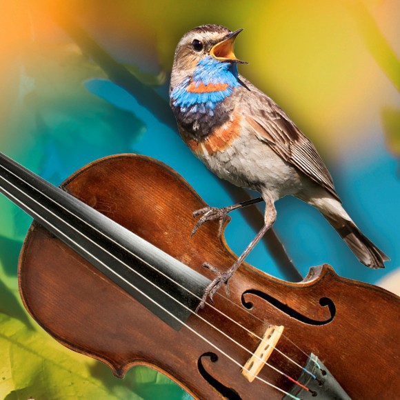 v 27825 01 Musikalische Tierwelten Philharmonie Gotha v 27825 01 Musikalische Tierwelten Philharmonie Gotha
